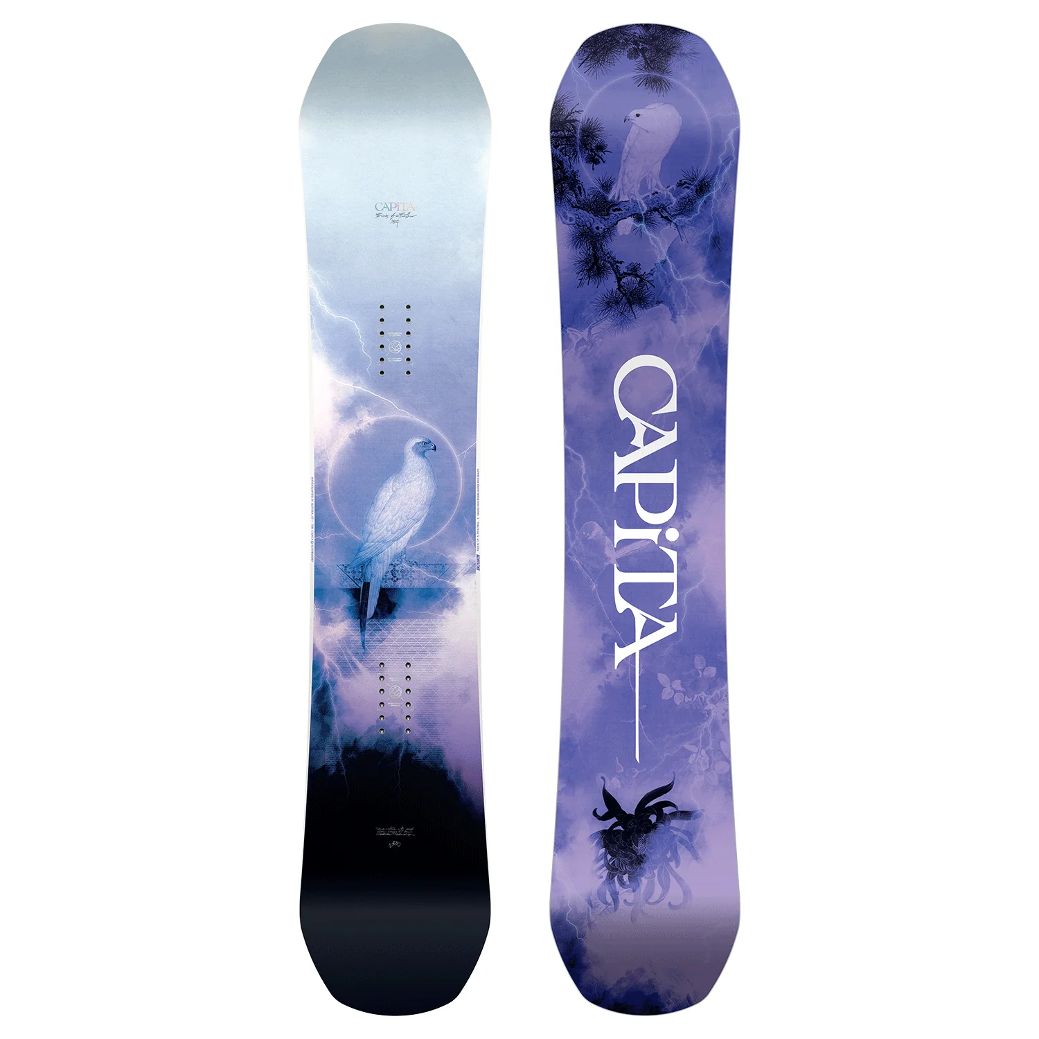 Capita Women's Birds Of A Feather Snowboard 2024